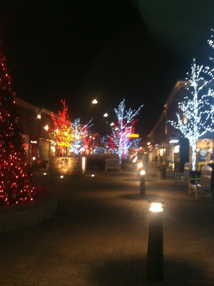 OK this isn't Detroit, its the christmas lights at partridge creek.